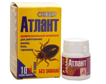 atlant-5-gr